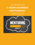 4 Week Business Mentorship